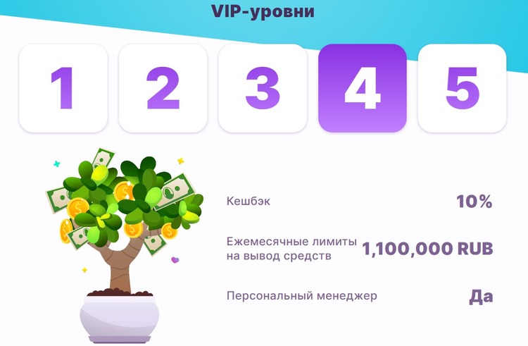 Пять статусов VIP-системы